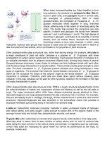 Összefoglalók, jegyzetek 'Studying Life, Chemistry', 7.                