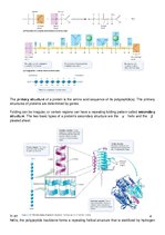 Összefoglalók, jegyzetek 'Studying Life, Chemistry', 10.                