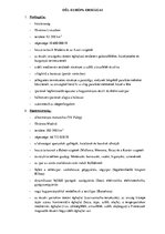 Összefoglalók, jegyzetek 'Európai országok', 1.                