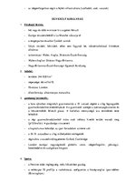 Összefoglalók, jegyzetek 'Európai országok', 9.                