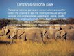 Prezentációk 'Tanzania', 6.                