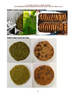Kutatási anyagok 'Room Temperature Pre- Prepared Packaged Sweet Snacks: China & USA', 28.                