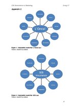 Kutatási anyagok 'Corporate Social Responsibility: Benevolence vs. Marketing. Evidence from Latvia', 18.                