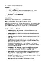 Összefoglalók, jegyzetek 'A szókészlet változás, a szóalkotás módjai', 1.                