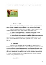 Kutatási anyagok 'Tourism in Thailand', 12.                