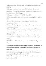 Záródolgozatok 'The Analysis of the Problem to Create "Low-Cost" Airline ', 90.                