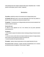 Kutatási anyagok 'Possibilities of Improving the Recreation Area in Dundaga Secondary School', 5.                