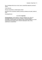 Összefoglalók, jegyzetek 'Madách Imre: Ember tragédiája', 3.                