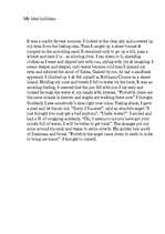 Esszék 'My ideal holidays', 1.                