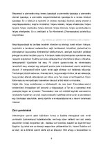 Összefoglalók, jegyzetek 'Buddha élete', 8.                