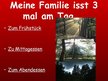 Prezentációk 'Essen und Trinken in meiner Familie', 2.                