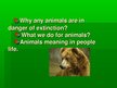Prezentációk 'Pets and Animals in Our Life', 2.                