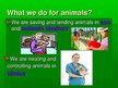 Prezentációk 'Pets and Animals in Our Life', 5.                