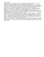 Esszék 'A Salty High: A Descriptive Essay about the Stoke that Surfboarding Brings to an', 1.                