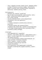 Összefoglalók, jegyzetek 'Magyar tétel - impresszionizmus', 3.                