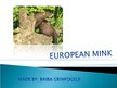 Prezentációk 'The European Mink', 1.                