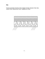 Kutatási anyagok 'A Private House', 5.                