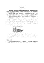 Kutatási anyagok 'Health and Fitness', 3.