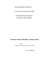 Összefoglalók, jegyzetek 'Common Commercial Policy. Customs Union', 1.                