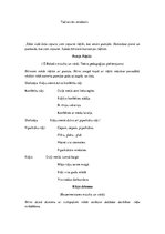 Összefoglalók, jegyzetek 'Ziemassvētki rūķu mājās', 4.                