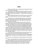 Esszék 'Brains', 1.                