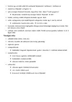 Összefoglalók, jegyzetek 'A stílus', 3.                