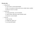 Összefoglalók, jegyzetek 'A stílus', 4.                