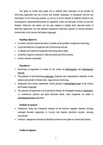 Kutatási anyagok 'Anglicisms in the Latvian and Russian Languages', 7.