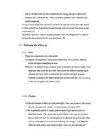 Kutatási anyagok 'EasyJet Marketing Activity', 7.                