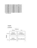 Kutatási anyagok 'EasyJet Marketing Activity', 15.                