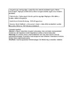 Összefoglalók, jegyzetek 'Történelem', 35.                