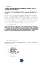 Kutatási anyagok 'Marketing Strategy in Apple', 7.                