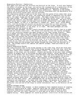 Esszék 'Respiratory Function / Dysfunction', 1.                