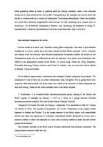 Összefoglalók, jegyzetek 'Strategy, Organization and Global Firms', 3.                