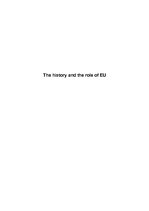 Kutatási anyagok 'The History and the Role of EU', 1.                