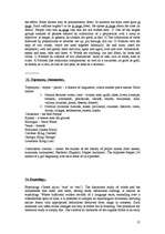 Összefoglalók, jegyzetek 'Notes on Basic Linguistics', 15.                