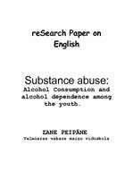 Kutatási anyagok 'Alcohol Consumption and Alcohol Dependence among the Youth', 1.                