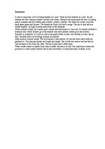 Esszék 'Many Different Essays in English', 27.                