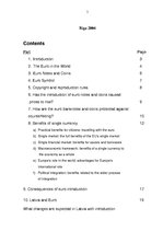 Kutatási anyagok 'European Single Currency - Euro', 2.                