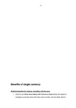 Kutatási anyagok 'European Single Currency - Euro', 12.                