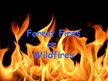 Kutatási anyagok 'Forest Firesor Wildfires', 1.                
