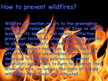 Kutatási anyagok 'Forest Firesor Wildfires', 3.                