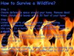Kutatási anyagok 'Forest Firesor Wildfires', 4.                