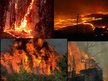 Kutatási anyagok 'Forest Firesor Wildfires', 6.                