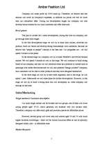 Üzleti tervek 'Business Plan', 5.                