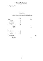 Üzleti tervek 'Business Plan', 8.                