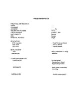 Minták 'Curriculum Vitae', 1.                