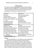 Kutatási anyagok 'Identifying and Evaluating Opportunity for Enefit Ltd.', 7.                