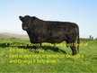 Prezentációk 'Characterization of Beef Cattle Breeds', 6.                
