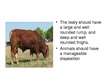 Prezentációk 'Characterization of Beef Cattle Breeds', 11.                